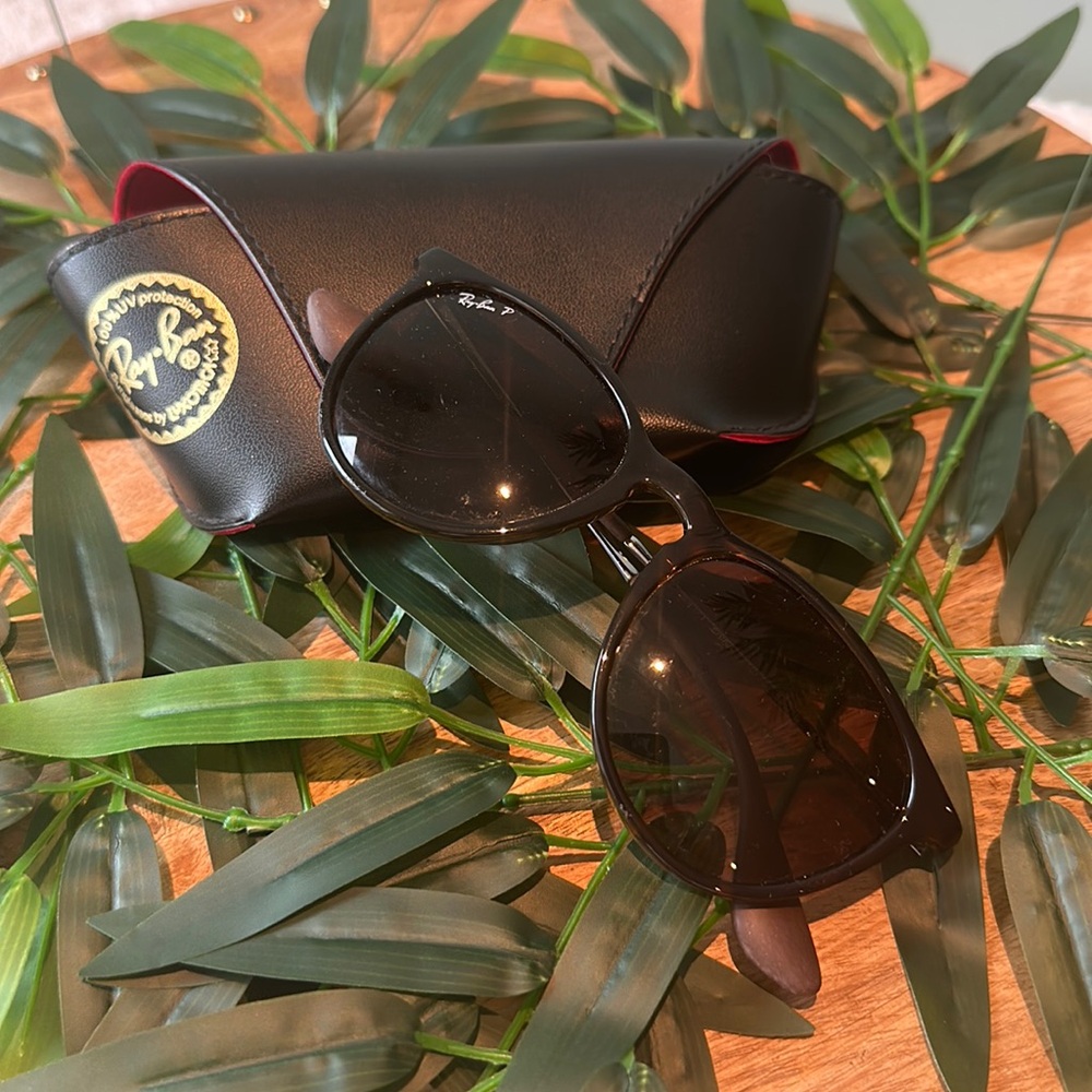 Ray ban sunglasses case
